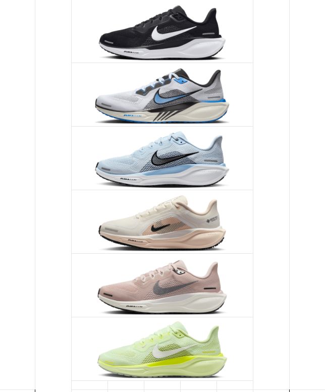 Nike Pegasus 41