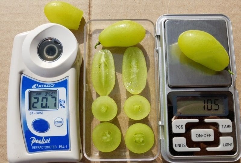 (Magnélküli) Ararat