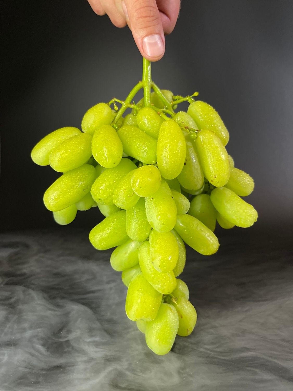 Belaja Lady (Fehér Lédi)