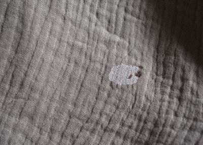 Pantalones Cortos de Ovejas