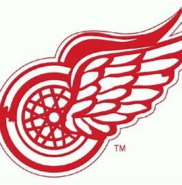 PYT DETROIT RED WINGS