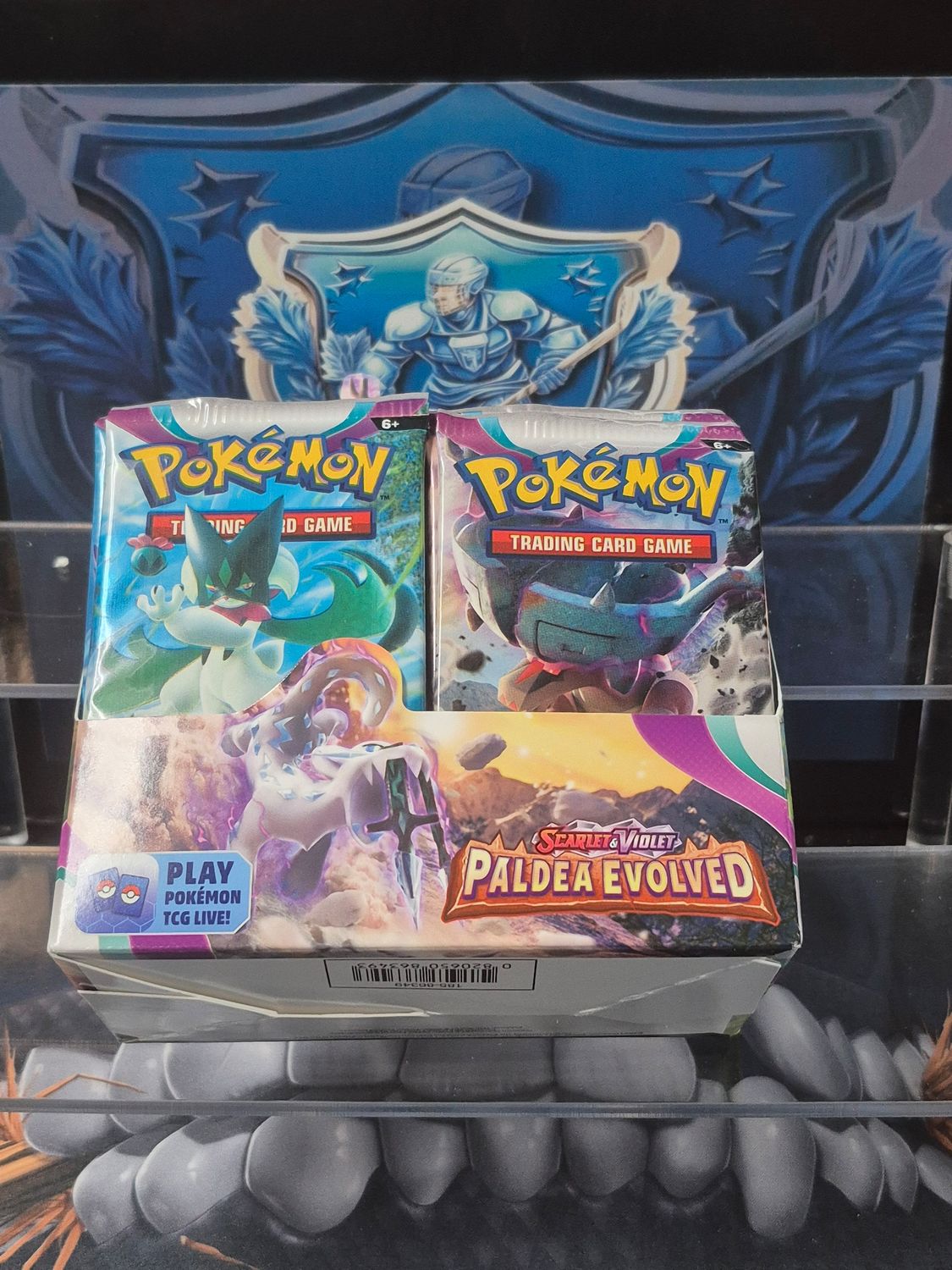 Pokémon - Paldea Evolved