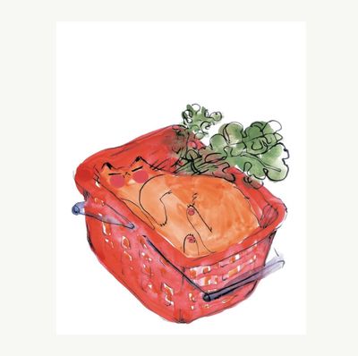 Print - &quot;Basket Cat Dreaming&quot;
