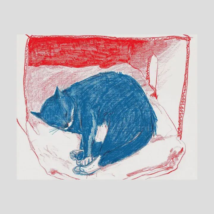 Print - &quot;Pepper in His Box&quot;