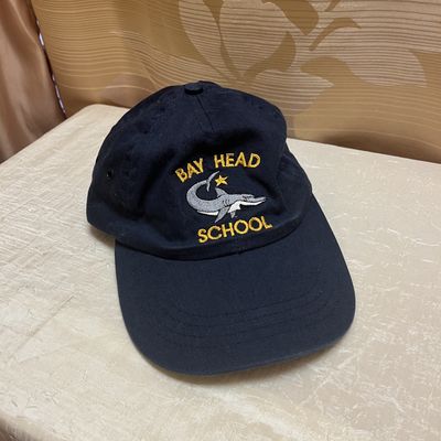bay head school shark hat