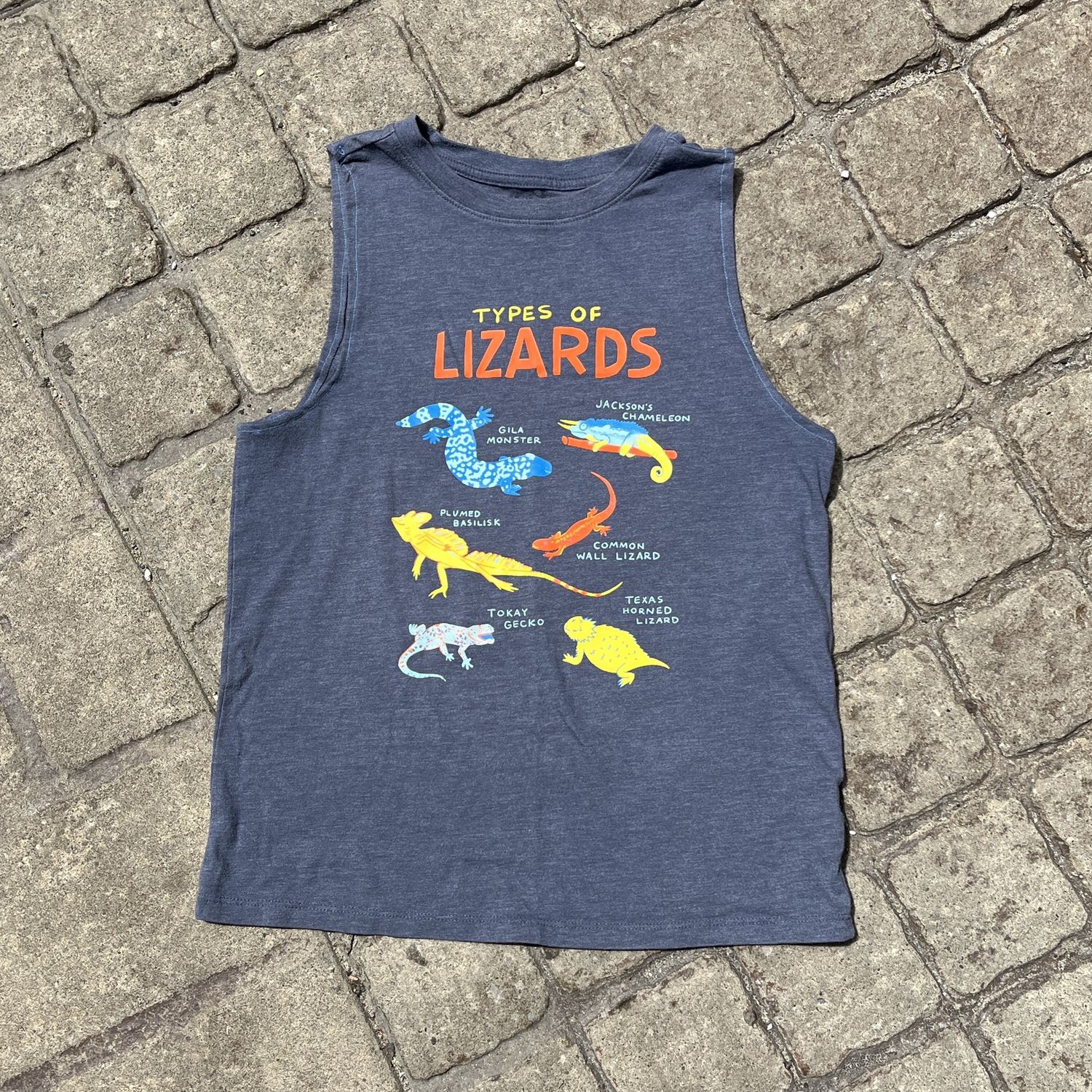 lizard baby tank