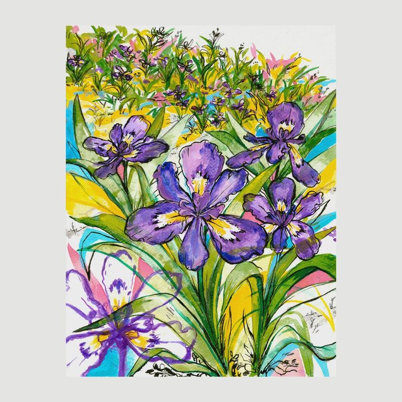Print - &quot;Dwarf Crested Irises&quot;