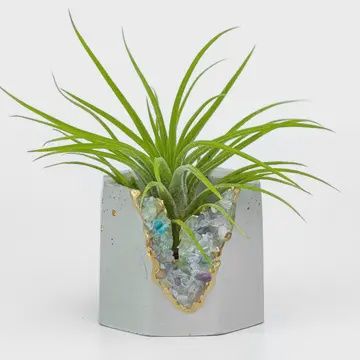 Fluorite Geode Planter, Air Plant Holder Succulent Pot
