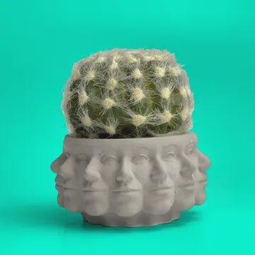 Multi Face Succulent Planter, Polyface Pot, Air plant Holder