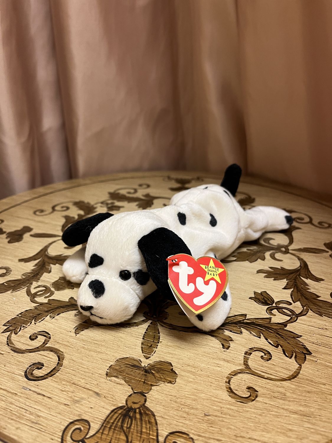 Dotty the Dalmatian
