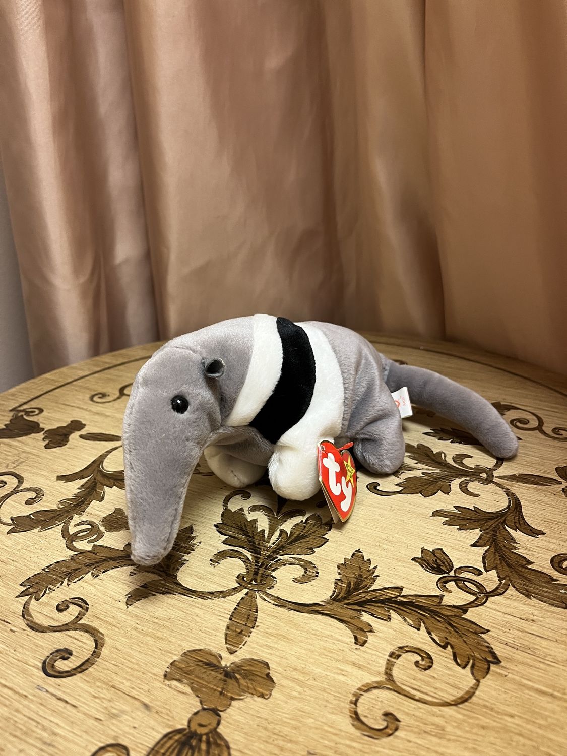 Ants the Anteater