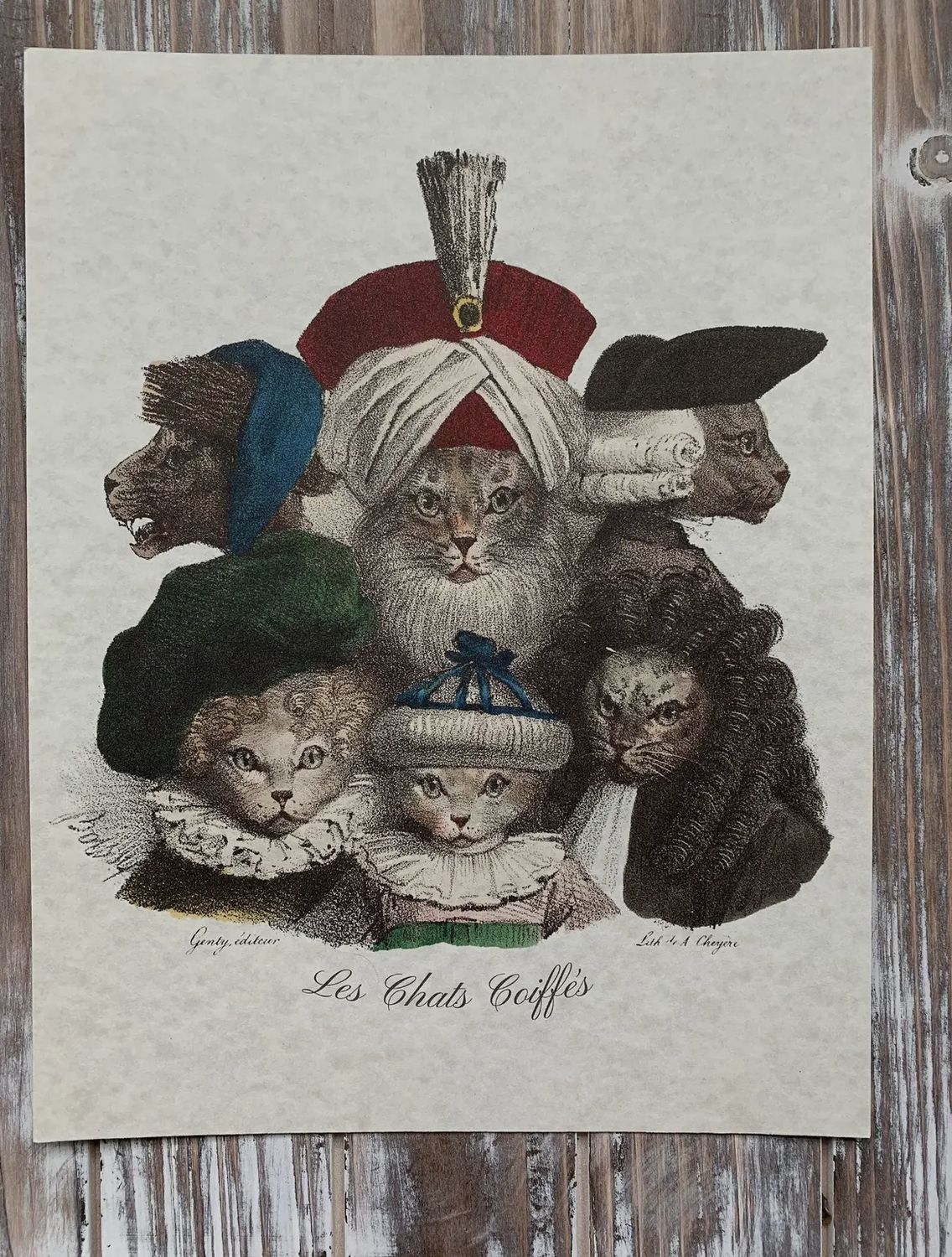 Historic Cat Art Print