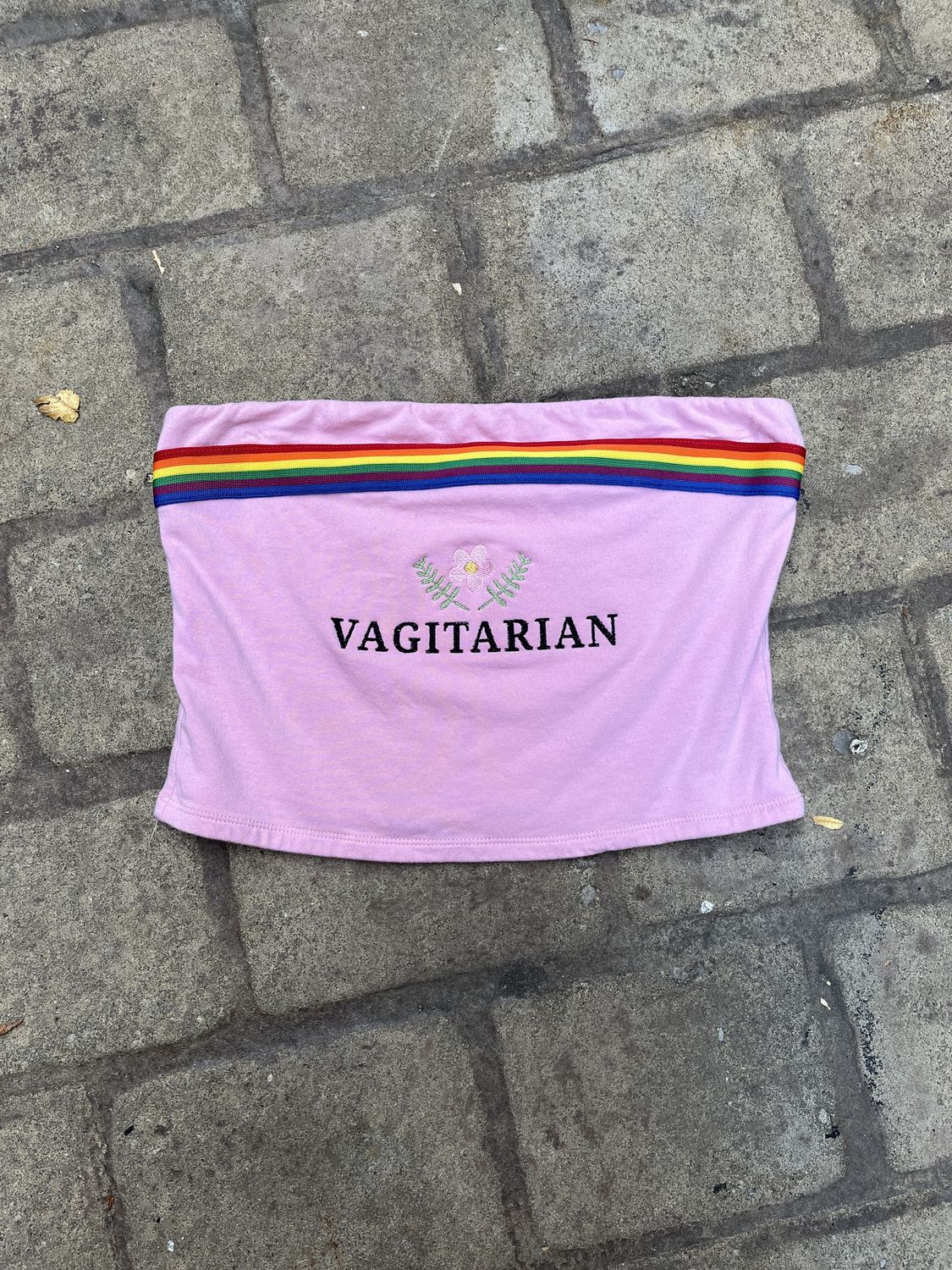 pink rainbow vag top