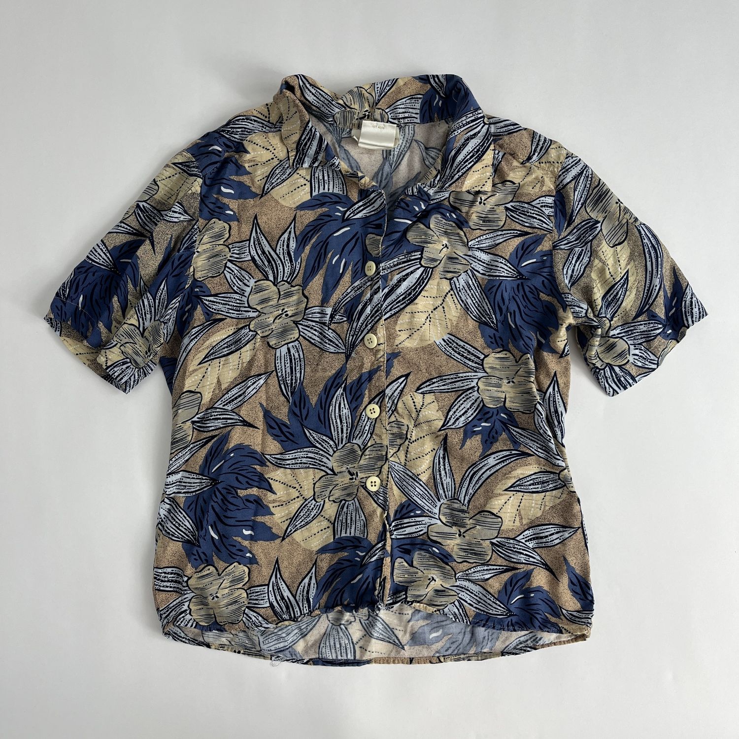 Blue and Beige Button Down