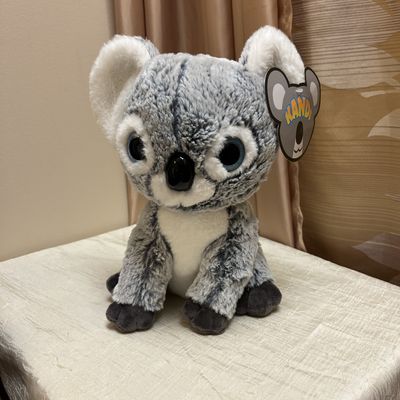 Kandi Koala