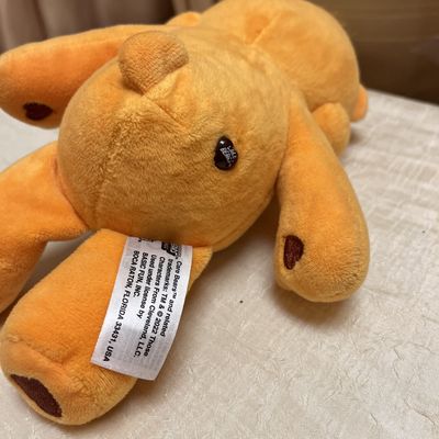 Orange Tender heart Care bear