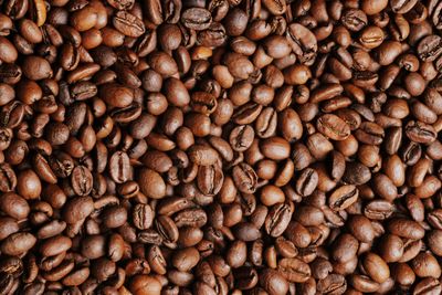 Medium Roast