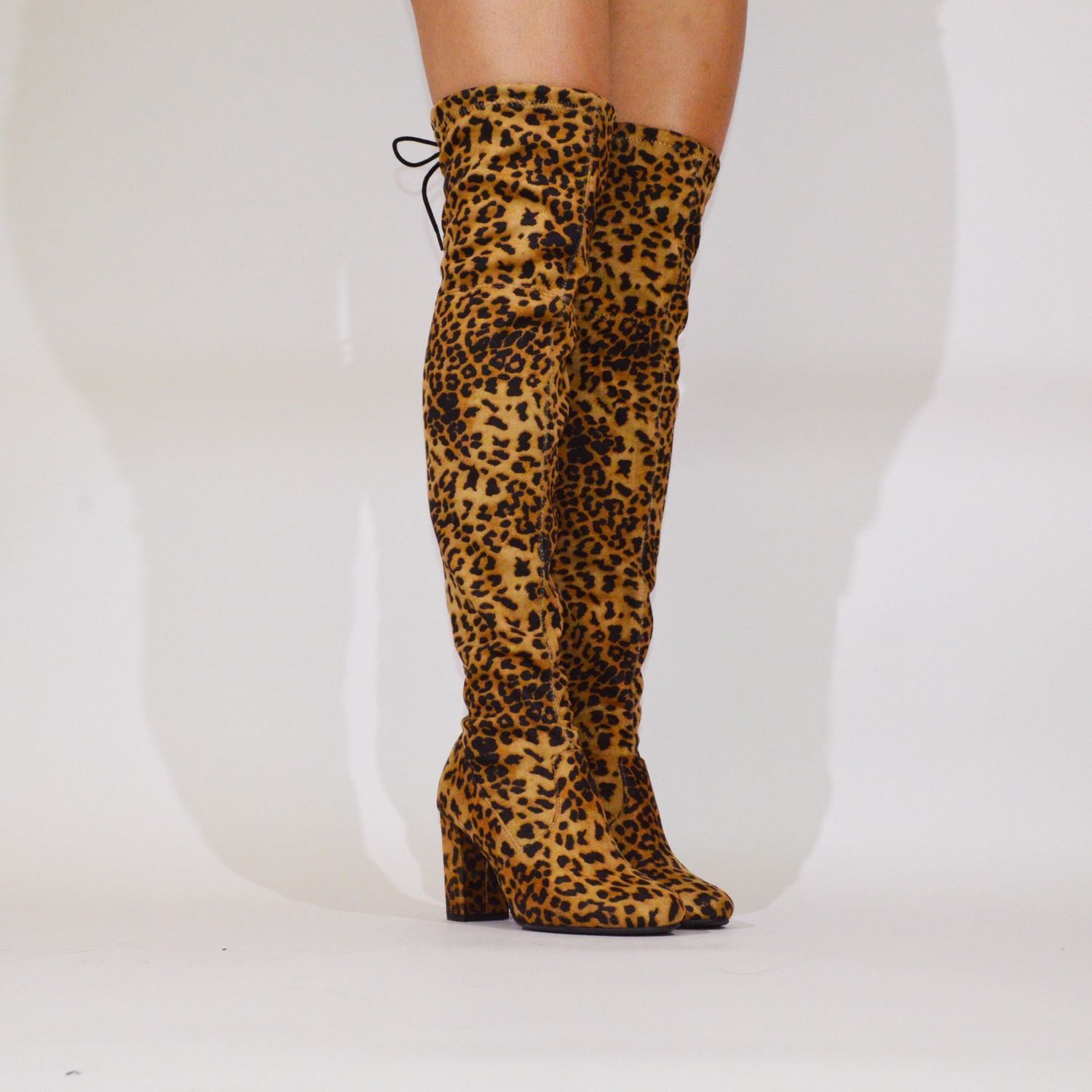 Snivy, Colour: Cml Leo, Size: 5.5