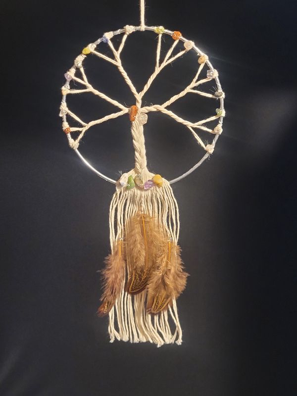Dream Catchers
