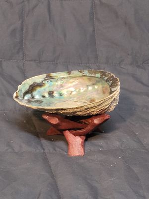 Shells