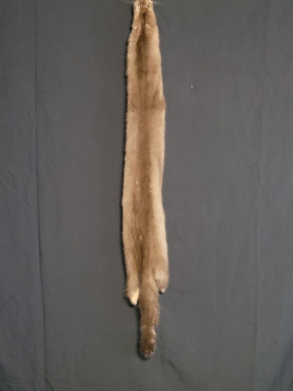 Mink Fur Pelt
