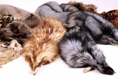 Fur