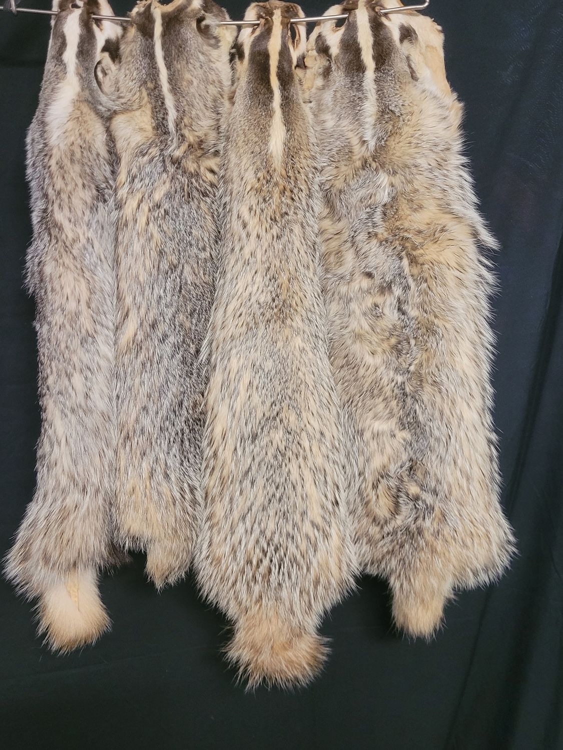 Badger Fur Pelt
