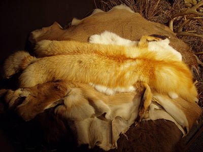 Fur