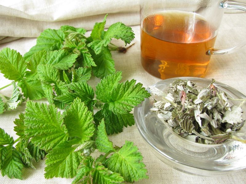 Raspberry Leaf