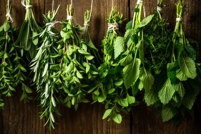 Herbs