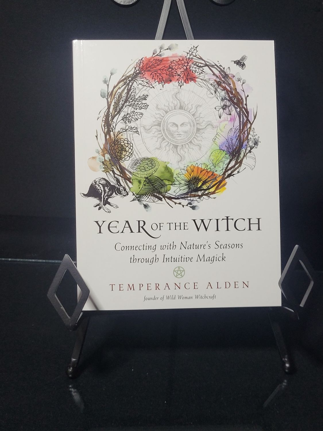 Year of the Witch (Paperback)