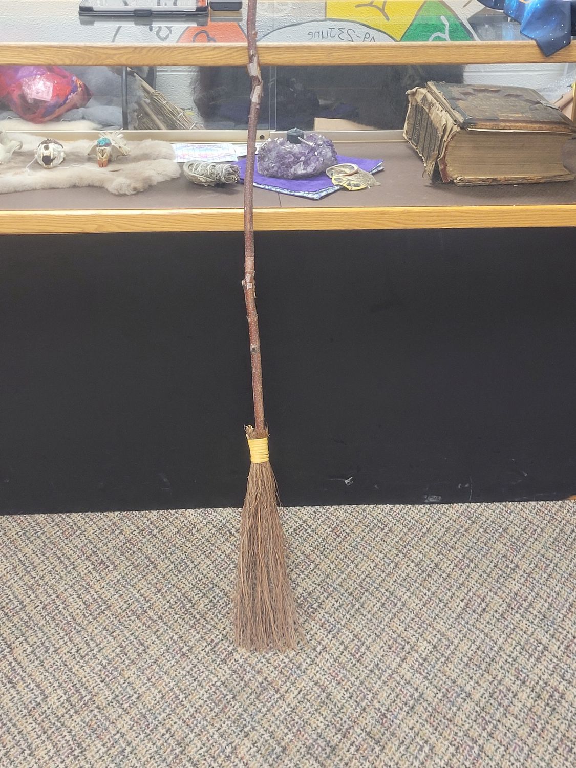 Witches Broom, Size: Small