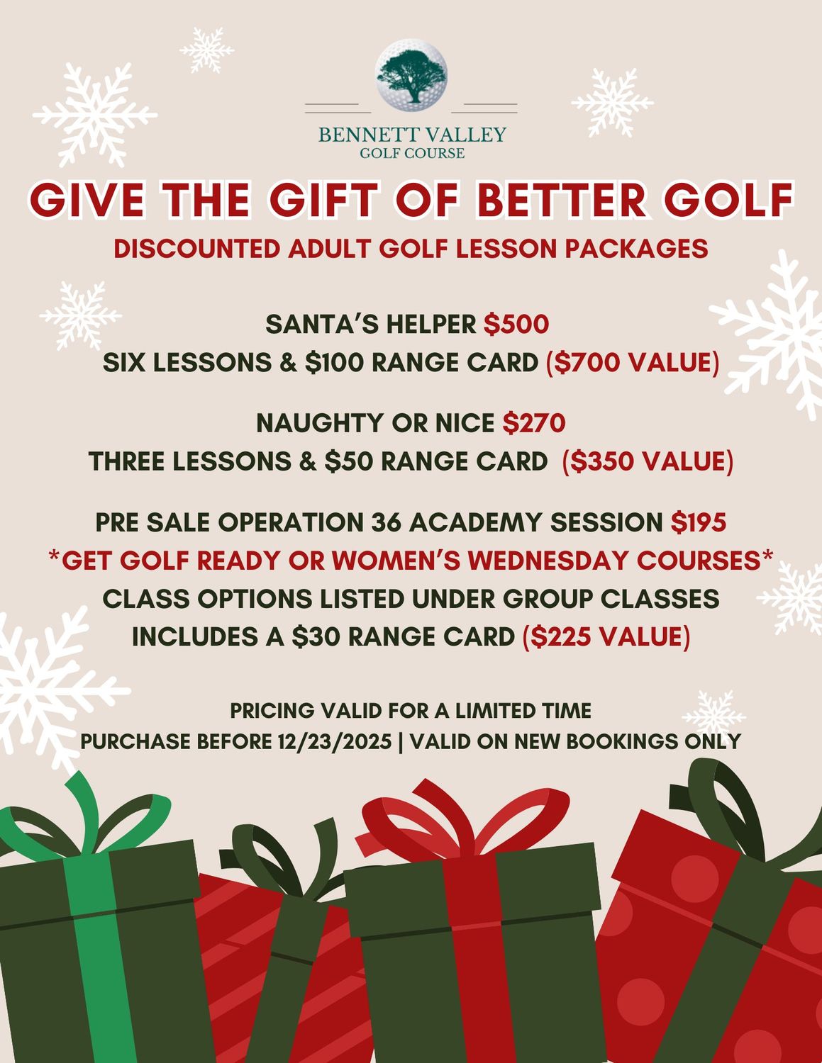 Holiday Lesson Package (with Range)