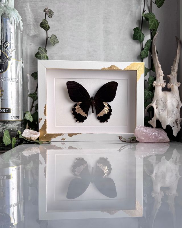 Golden Growth | 24 Karat