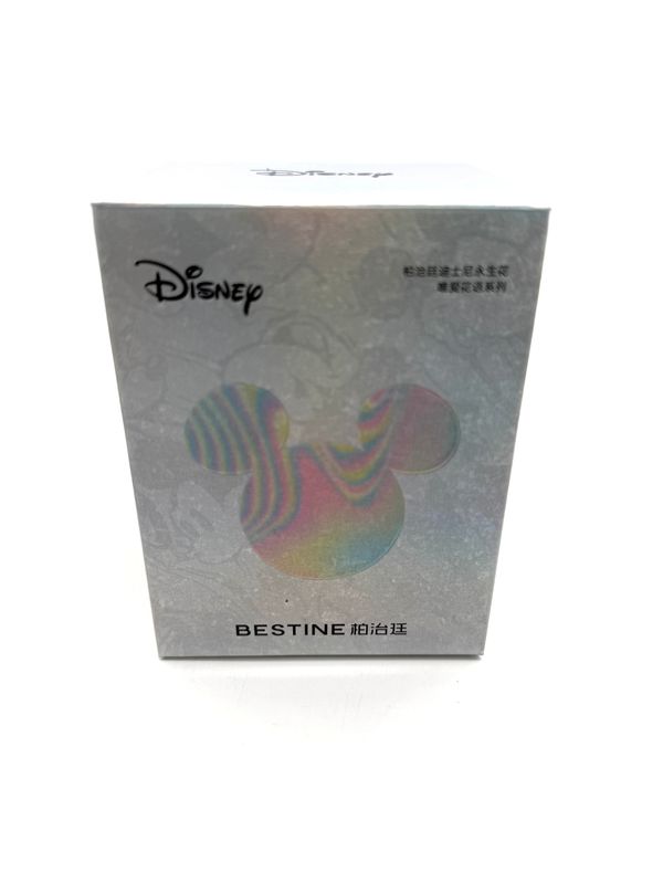 Disney - Bestine - Blind Boxen