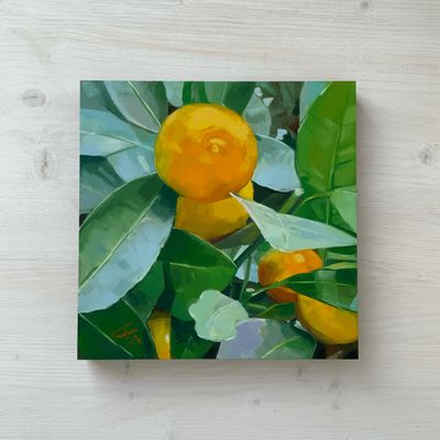 Kumquat Baum
