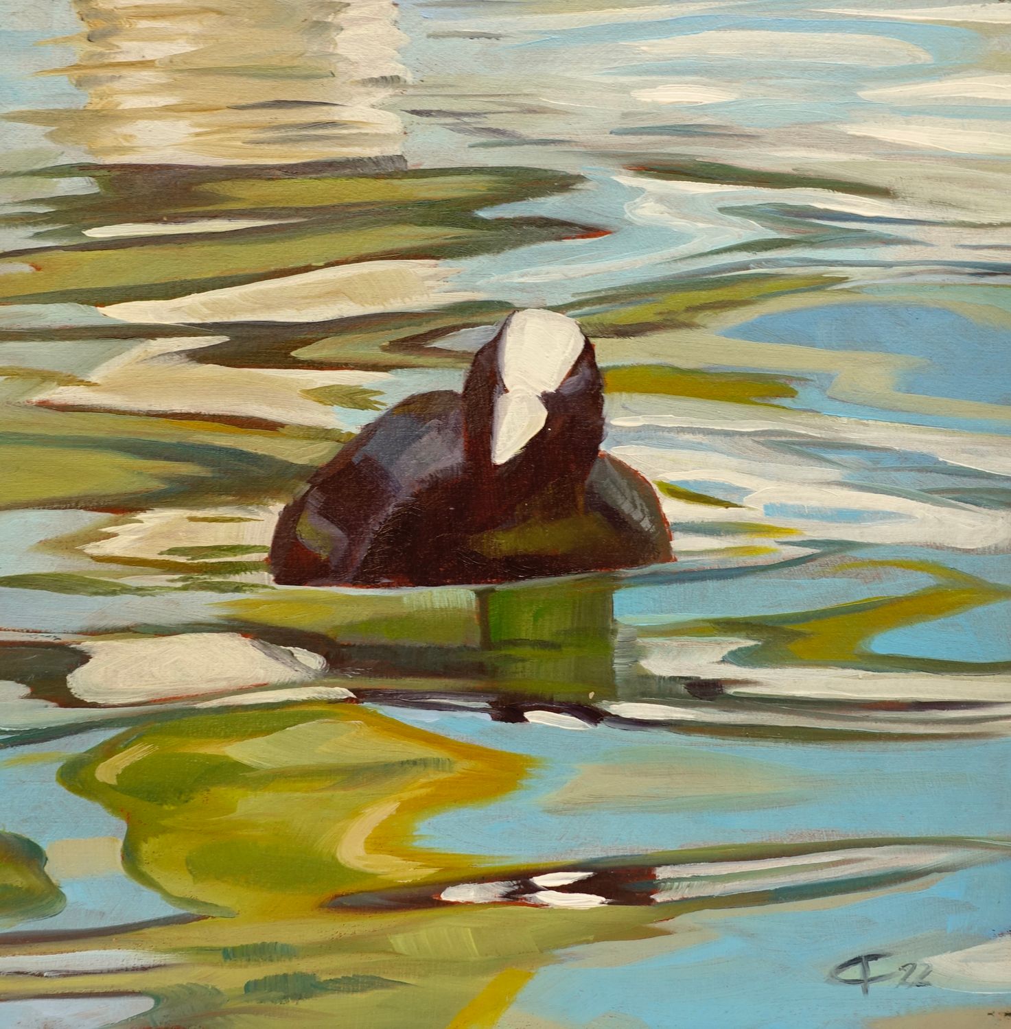 Bläßhuhn unter dem Steg