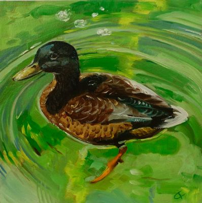 Starnberger-See-Ente