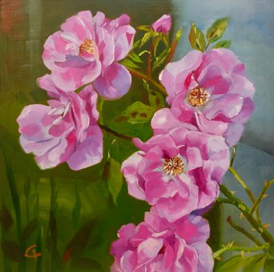 Rosenstrauch in Schweden