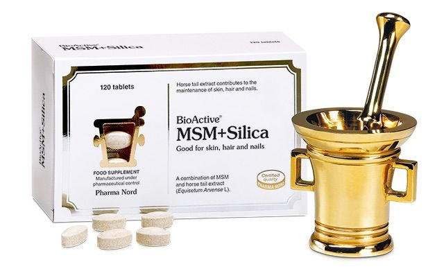 BioActive MSM+Silica
