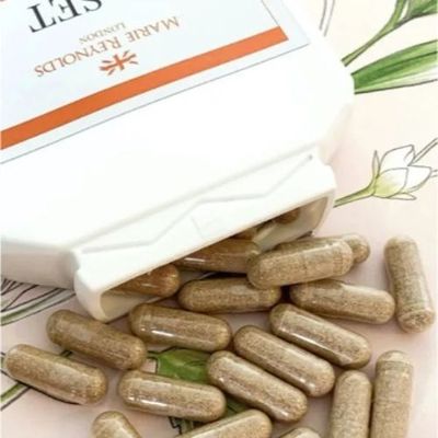 SUPPLEMENT
