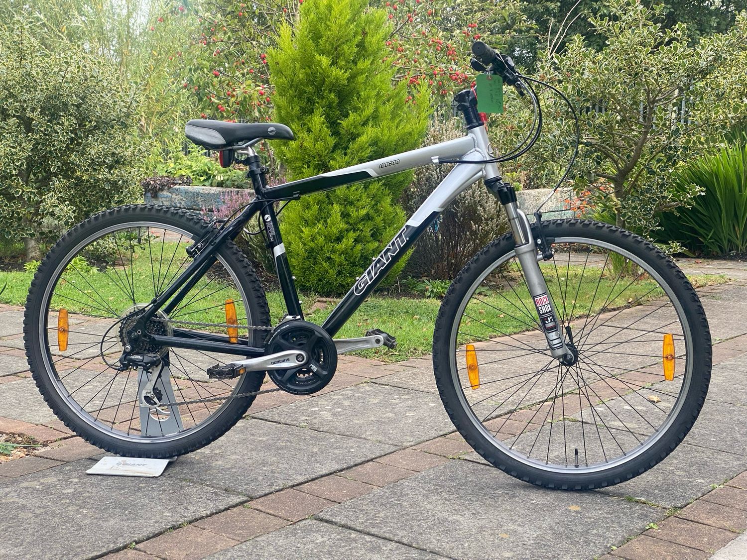 Giant Rincon Mountain Bike