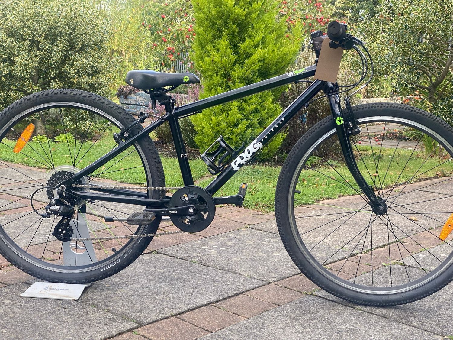 Frog  65 Kids Bike