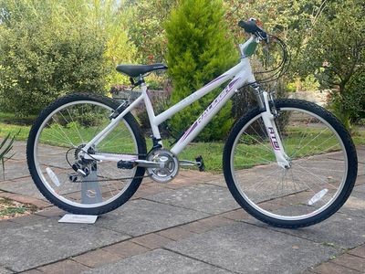 Raleigh Carolina Girls Bike