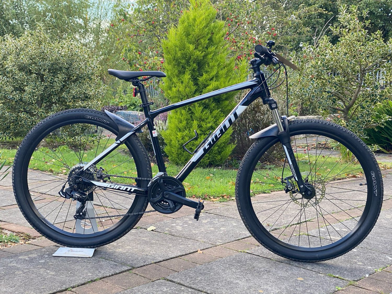 Giant ATX Mountain Bike