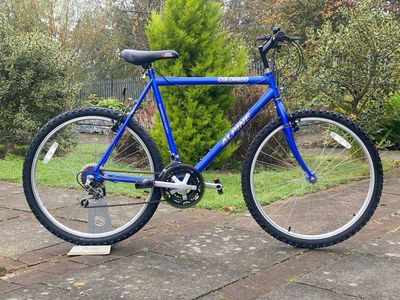 Alpine Colorado Bike