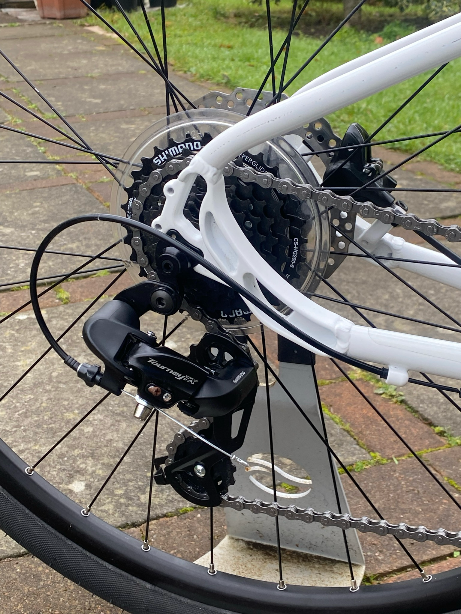 Pinical Lithium Womans