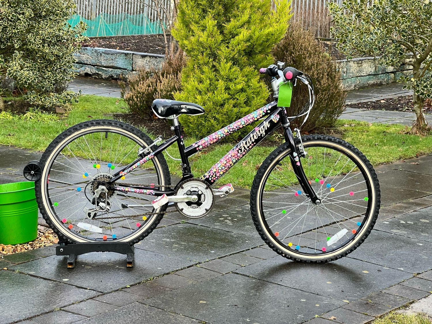 Raleigh Jewel Girls Bike
