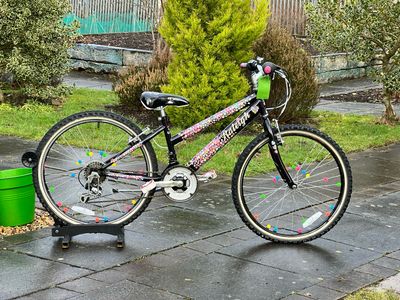 Raleigh Jewel Girls Bike