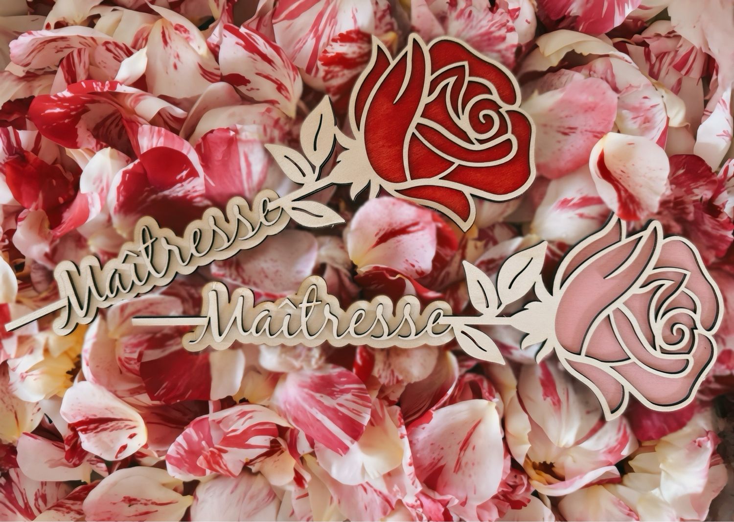 Rose maîtresse
